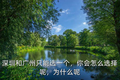 深圳和廣州只能選一個，你會怎么選擇呢，為什么呢