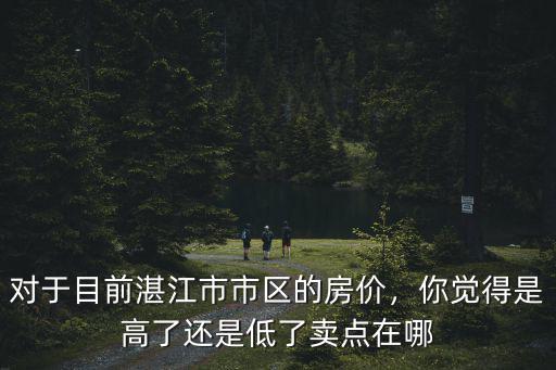 湛江市區2008年房價是多少錢,湛江市區房價開始下跌了是嗎