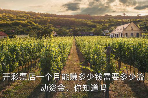 開彩票店一個月能賺多少錢需要多少流動資金，你知道嗎