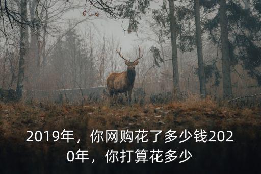 濟南網購達人花多少錢,一周平均花多少錢