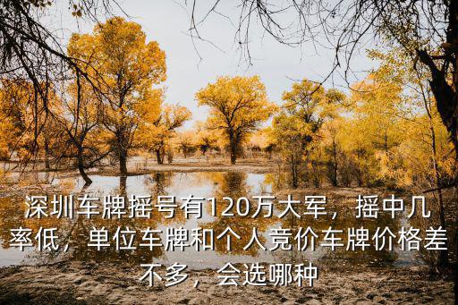 深圳搖號 一年有多少電動車牌,深圳車牌搖號有120萬大軍