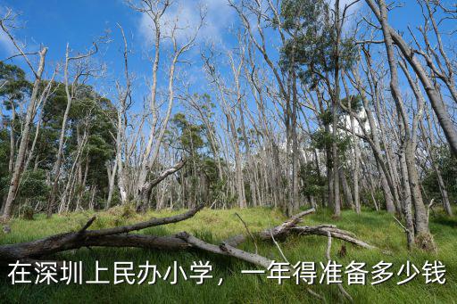 深圳學(xué)費漲多少,在深圳讀書學(xué)費每年漲