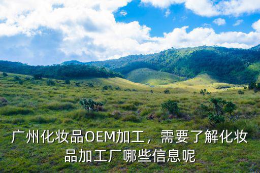 廣州要做化妝品怎么做,我想在廣州開一個化妝品廠