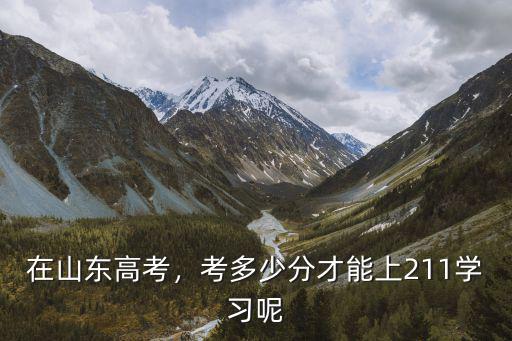 在山東高考多少分能上211大學,今年山東多少分能上985