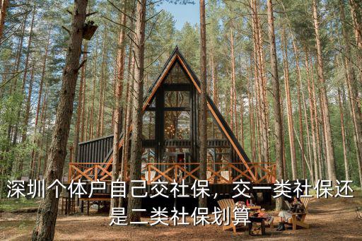 深圳個體戶怎么自己買社保嗎,深圳個體戶自己交社保