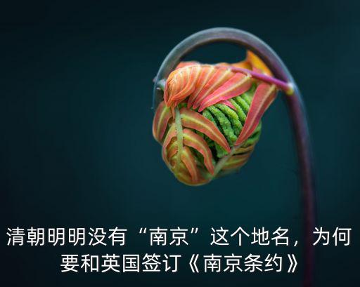 清朝明明沒有“南京”這個地名，為何要和英國簽訂《南京條約》