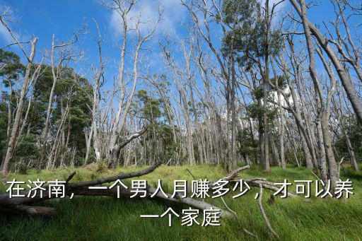 在濟南，一個男人月賺多少，才可以養一個家庭