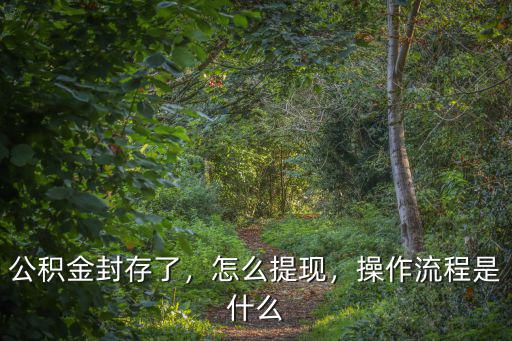 中山公積金封存了怎么提取出來,公積金封存了