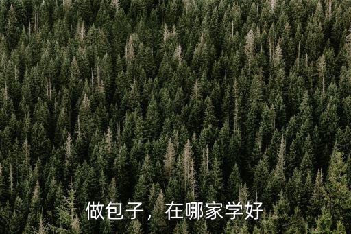 云浮哪里可以學(xué)做包子,不知道做包子技術(shù)哪里學(xué)