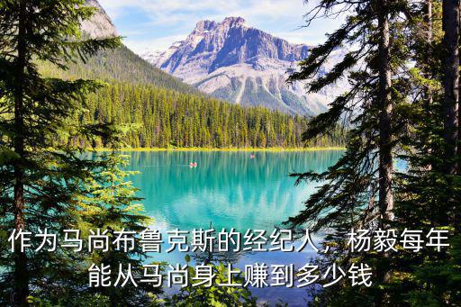 作為馬尚布魯克斯的經紀人，楊毅每年能從馬尚身上賺到多少錢