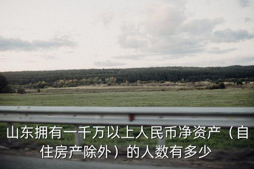 山東擁有一千萬以上人民幣凈資產(chǎn)（自住房產(chǎn)除外）的人數(shù)有多少
