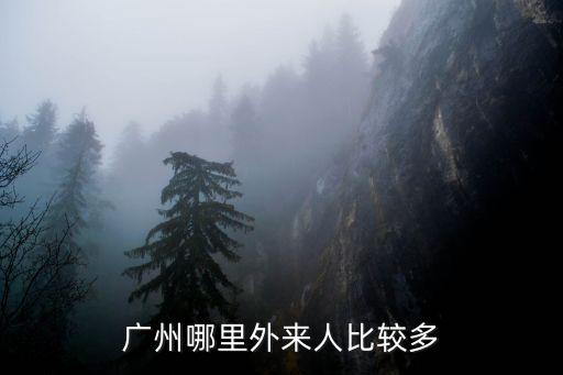 廣州天河有多少外國人,廣州黑人真的很多嗎