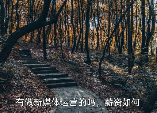 有做新媒體運(yùn)營的嗎，薪資如何