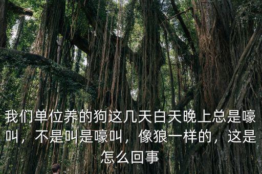 湛江農村聽到狼叫是怎么回事,這是怎么回事