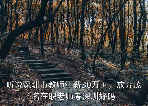 聽說深圳市教師年薪30萬＋，放棄茂名在職老師考深圳好嗎