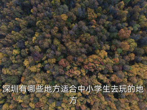 深圳有哪些地方適合中小學生去玩的地方