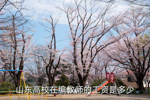 山東高校在編教師的工資是多少