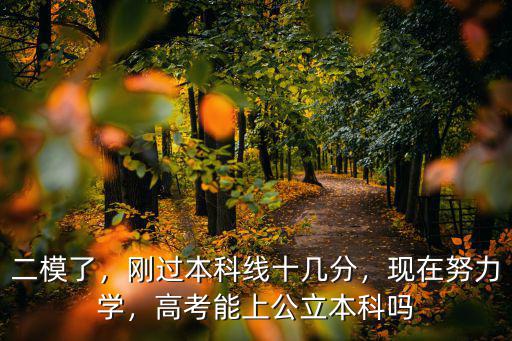 二模了，剛過本科線十幾分，現(xiàn)在努力學(xué)，高考能上公立本科嗎