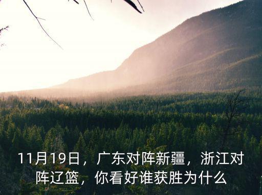 11月19日，廣東對陣新疆，浙江對陣遼籃，你看好誰獲勝為什么