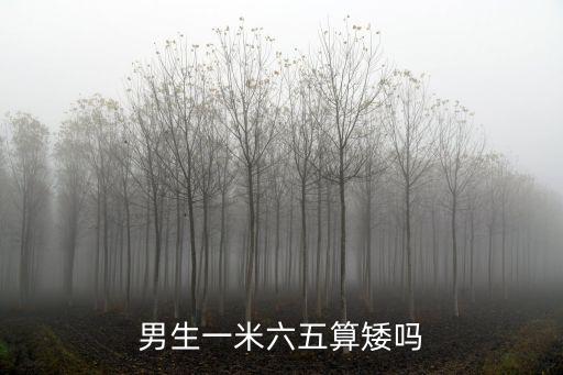 潮州男生多少算矮,男生172算矮嗎