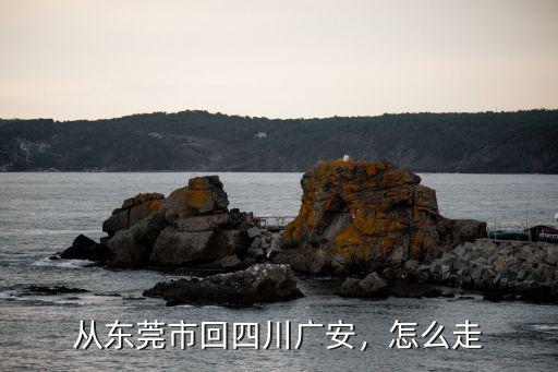 從東莞開車回巴中市多少錢,開車從廣東東莞回四川達(dá)州