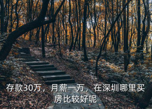 存款30萬，月薪一萬，在深圳哪里買房比較好呢