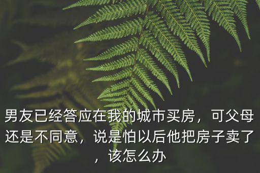 男朋友在深圳買房怎么辦,男友已經答應在我的城市買房