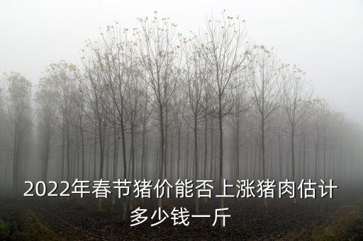 廣州市過年菜市場豬肉多少錢一斤,廣東豬肉現在多少錢一斤