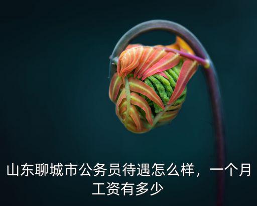 山東聊城市公務員待遇怎么樣，一個月工資有多少