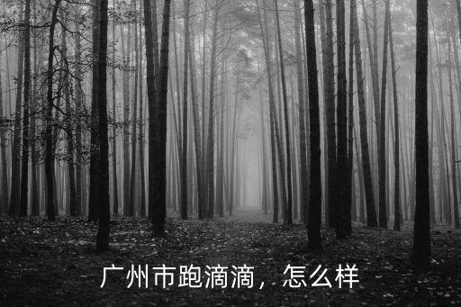 廣州市跑滴滴，怎么樣