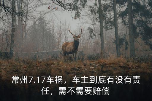 常州7.17車禍，車主到底有沒有責任，需不需要賠償