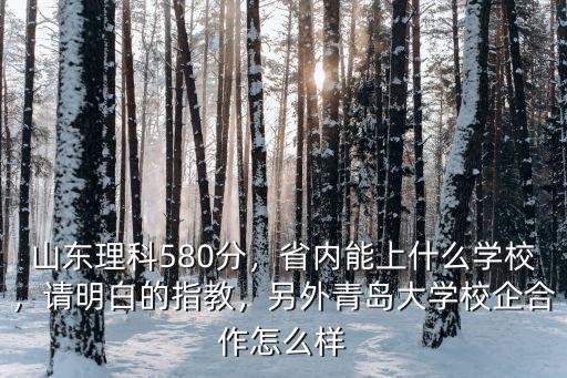 山東理科580分，省內能上什么學校，請明白的指教，另外青島大學校企合作怎么樣