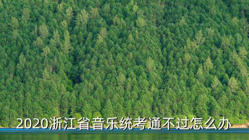 浙江省音樂統考滿分多少,2020浙江音樂統考考什么