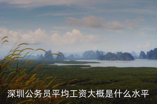 深圳采購專員平均工資是多少,深圳的平均工資是多少
