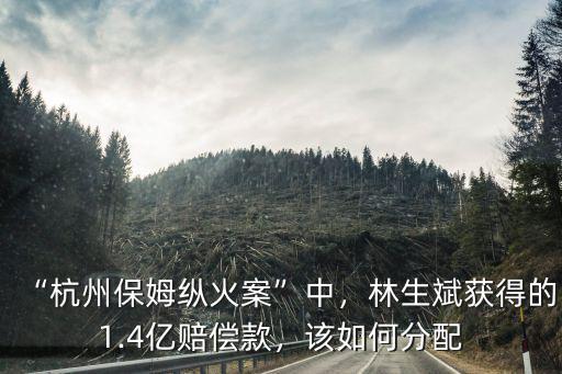 “杭州保姆縱火案”中，林生斌獲得的1.4億賠償款，該如何分配
