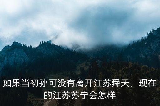 如果當初孫可沒有離開江蘇舜天，現在的江蘇蘇寧會怎樣