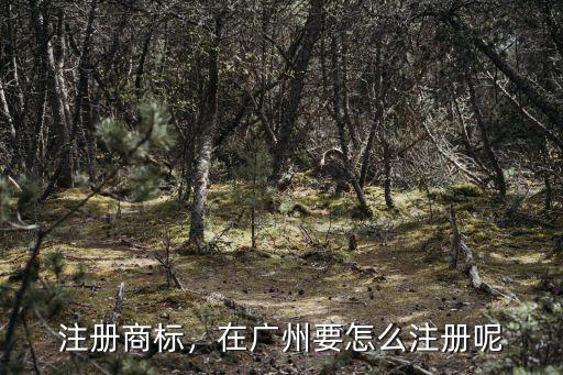 注冊商標，在廣州要怎么注冊呢