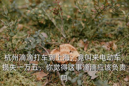 杭州到浦東滴滴多少錢一個月,杭州滴滴打車到上海