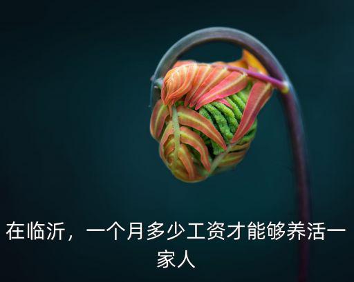 在臨沂，一個月多少工資才能夠養活一家人