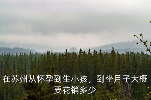 外地人在蘇州吳江生孩子大概需要多少錢,到坐月子大概要花銷多少