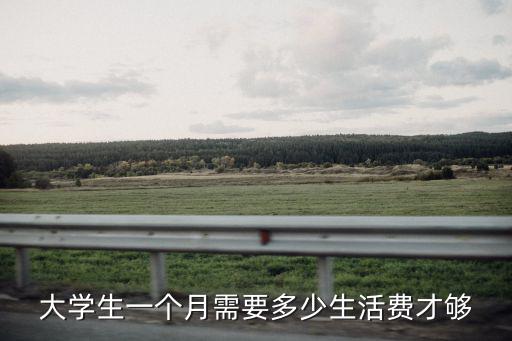 大學(xué)生需要多少生活費(fèi)汕尾市,大學(xué)生的生活費(fèi)是多少
