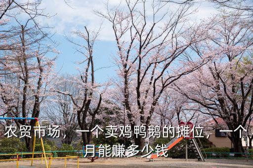 杭州當鴨子能掙多少錢,養一萬只鴨子能賺多少錢