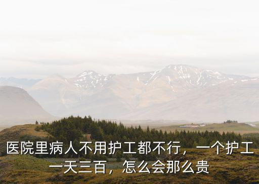 醫院里病人不用護工都不行，一個護工一天三百，怎么會那么貴