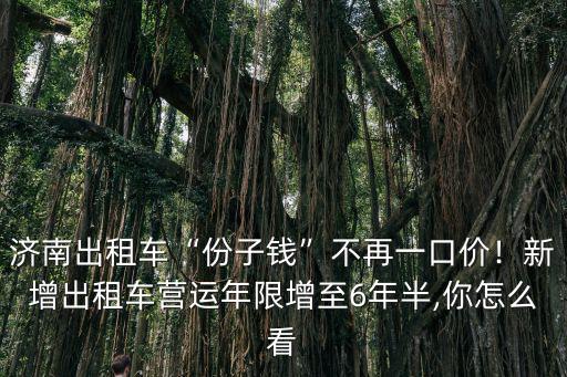 濟南出租車“份子錢”不再一口價！新增出租車營運年限增至6年半,你怎么看