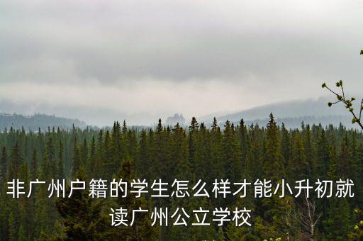 外地人在廣州上小學怎么辦學籍,小孩上小學不在戶籍地