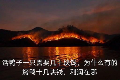 活鴨子一只需要幾十塊錢，為什么有的烤鴨十幾塊錢，利潤在哪
