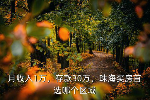月收入1萬，存款30萬，珠海買房首選哪個區(qū)域