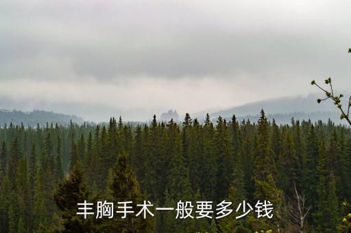 鎮(zhèn)江豐胸手術(shù)需要多少錢(qián),豐胸手術(shù)一般要多少錢(qián)