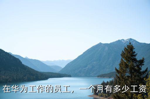 肇慶華為編輯一個月工資多少,一個月有多少工資