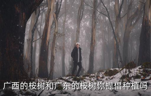 廣西的桉樹和廣東的桉樹你提倡種植嗎